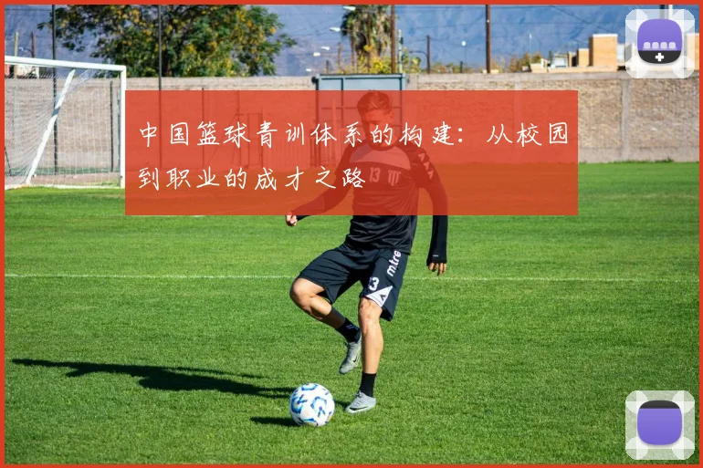 中国篮球青训体系的构建：从校园到职业的成才之路