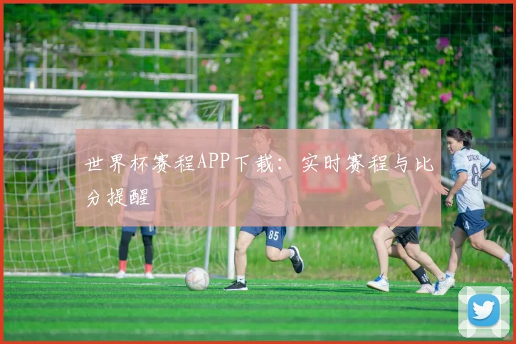 世界杯赛程APP下载：实时赛程与比分提醒